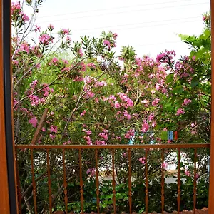 Villa Poseidon, Dalyan